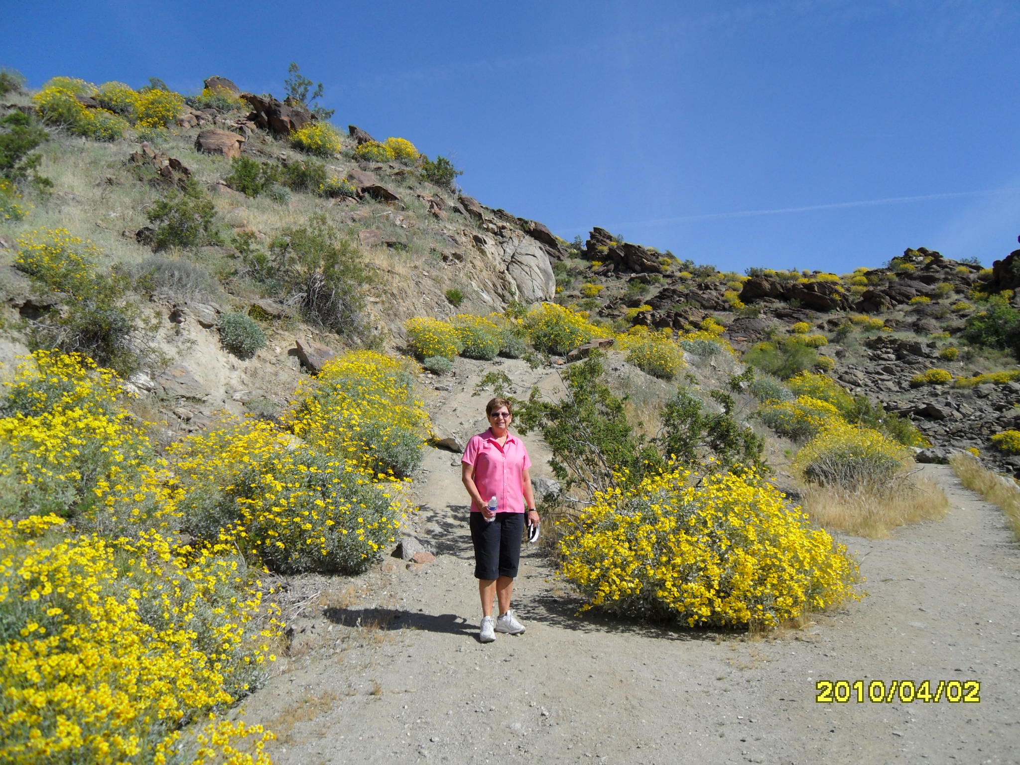 Palm Springs desert